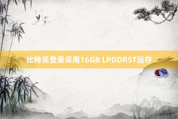 比特派登录采用16GB LPDDR5T运存