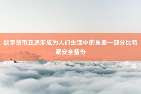 数字货币正逐渐成为人们生活中的重要一部分比特派安全备份