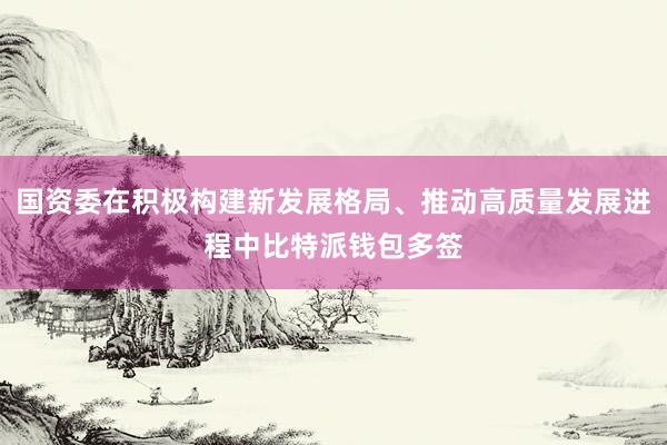 国资委在积极构建新发展格局、推动高质量发展进程中比特派钱包多签