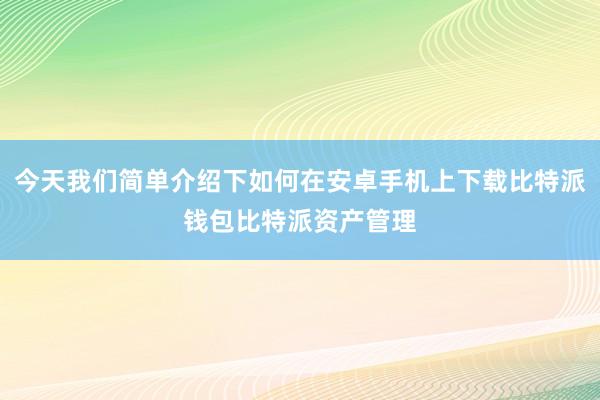 今天我们简单介绍下如何在安卓手机上下载比特派钱包比特派资产管理