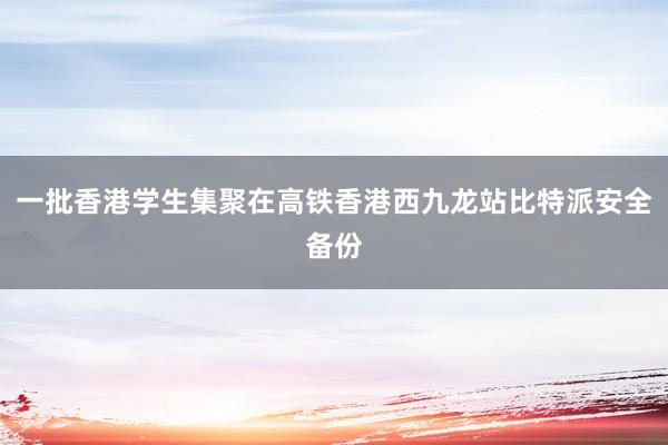 一批香港学生集聚在高铁香港西九龙站比特派安全备份