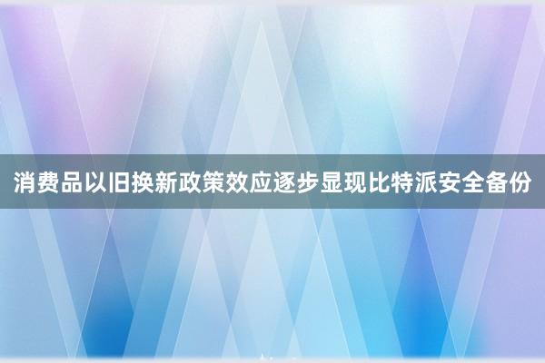 消费品以旧换新政策效应逐步显现比特派安全备份