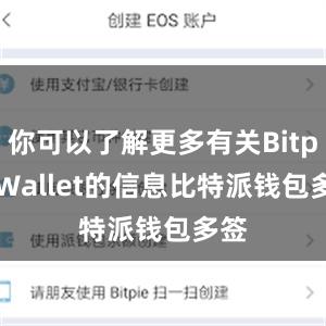 你可以了解更多有关Bitpie Wallet的信息比特派钱包多签