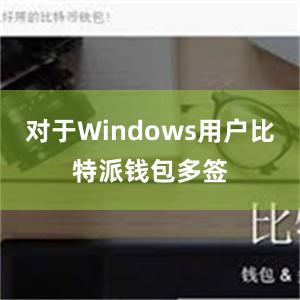 对于Windows用户比特派钱包多签